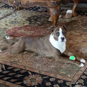 Meet your Posher, Barrett